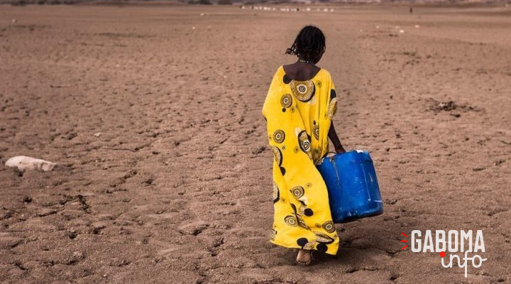 De grandes parties du monde plus sèches que la normale en 2021