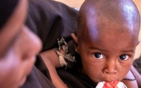 Somalie&nbsp;: Frappée par la sécheresse et la faim, le pays a besoin de 2,6 milliards de dollars