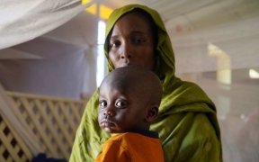 Soudan&nbsp;: Un cessez-le-feu pourrait ouvrir la voie à des pourparlers de paix