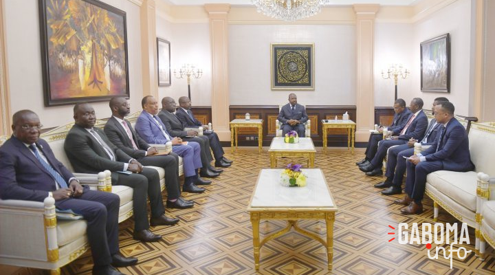 Piaepal&nbsp;: Alain Claude Bilie-By-Nze et Ali Bongo font le point du programme