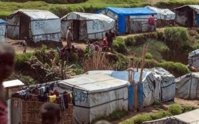 RDC&nbsp;: Le monde ne doit pas ignorer l’aggravation de la crise humanitaire dans ce pays, déclare la cheffe de l’OIM