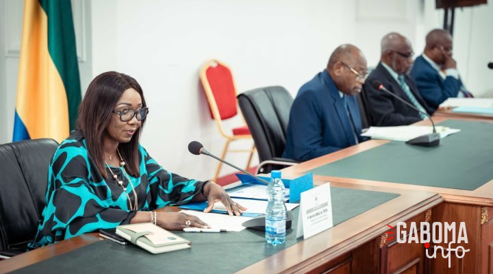 Réforme de l’ENA&nbsp;: la ministre Marcelle Ibinga auditionnée au Sénat