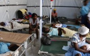 Choléra&nbsp;: près de 7 000 morts depuis janvier, le CDC Afrique tire la sonnette d’alarme
