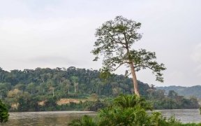 Lastoursville&nbsp;: Une adolescente de 16 ans emportée par les eaux de l’Ogooué