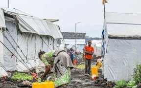 Violences sexuelles en RDC&nbsp;: «&nbsp;une femme violée toutes les quatre minutes&nbsp;»