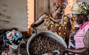 Le plein potentiel des femmes reste inexploité, dénonce l’ONU