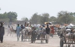 Cameroun&nbsp;: l’ONU alloue 6 millions de dollars pour les besoins vitaux humanitaires et de protection