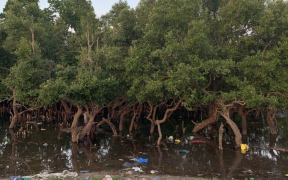 L’Afrique détient le pouvoir et les outils pour redessiner un avenir sans pollution plastique