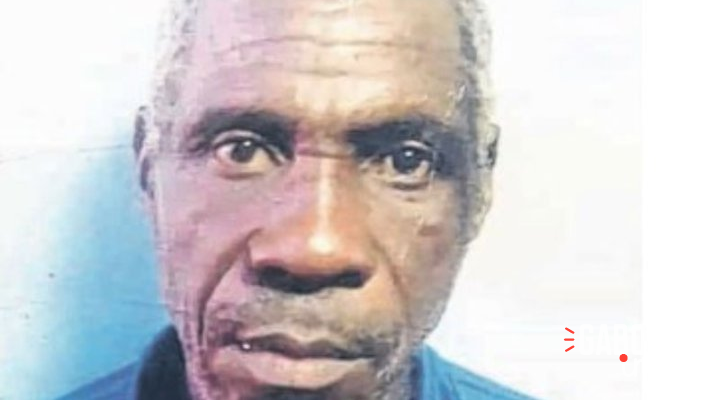 Tchibanga : Un éléphant tue encore un villageois avant de se fondre dans la nature