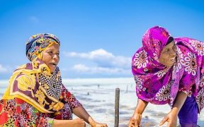 Il est urgent d’adopter un «&nbsp;Pacte Bleu&nbsp;» pour protéger nos océans, selon la CNUCED