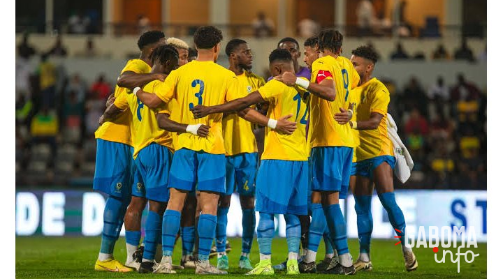 Panthères du Gabon&nbsp;: le choix du futur sélectionneur vire à l’imbroglio