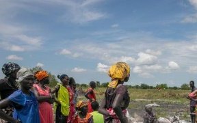 Soudan du Sud&nbsp;: vers une crise alimentaire majeure, 60&nbsp;% de la population menacée