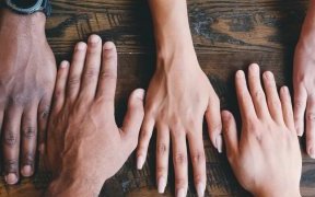 Journée de la Francophonie&nbsp;: découvrir les milliards de contenus culturels en français