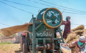 Guerre en Ukraine&nbsp;: La fin de l’accord céréalier de la mer Noire déclenche une hausse des prix des denrées alimentaires