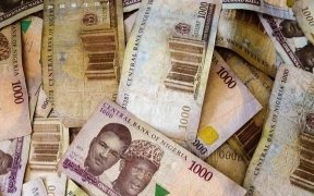 Nigeria&nbsp;: la valeur du naira divisée par 700 depuis sa création en 1973