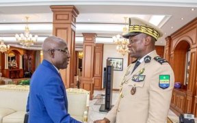 Le président de l’Assemblée nationale reçu en audience par Brice Clotaire Oligui Nguema