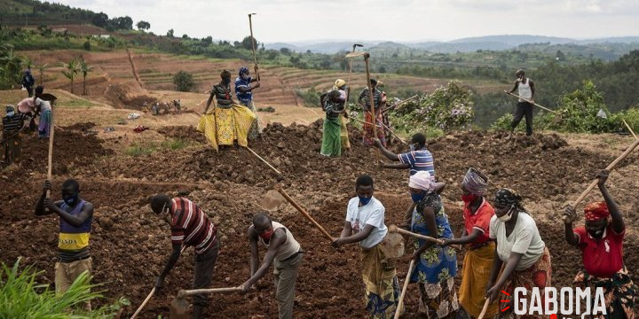 Plus de 866 millions d’agriculteurs et paysans nourrissent le monde
